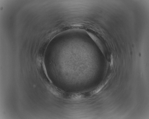 X0000073920235200608181057