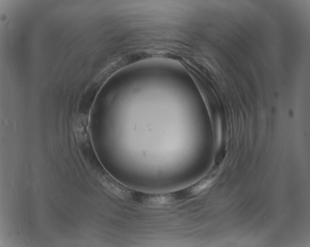 X0000073920237200608181057