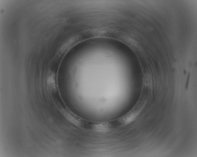 X0000073920238200608181057