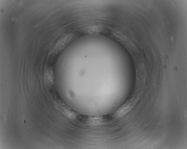 X0000073920240200608181057