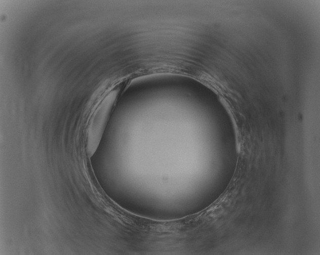 X0000073920241200608181056