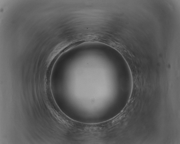 X0000073920242200608181056