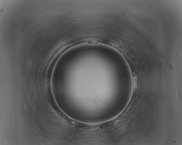 X0000073920243200608181056