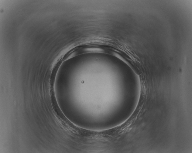 X0000073920244200608181056