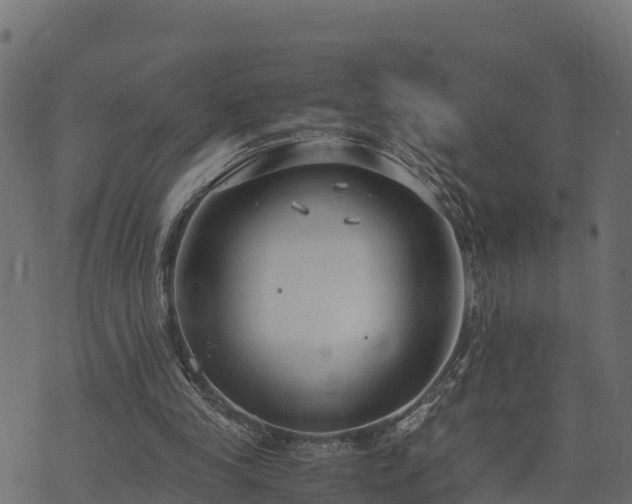 X0000073920245200608181056