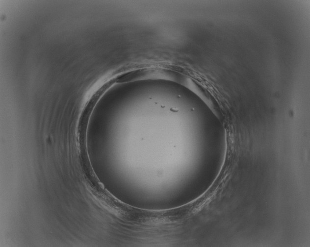 X0000073920246200608181056