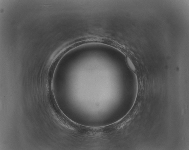 X0000073920247200608181056