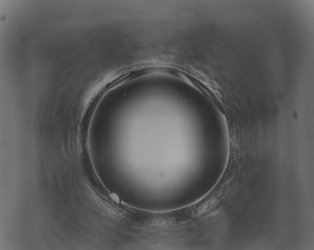 X0000073920248200608181056