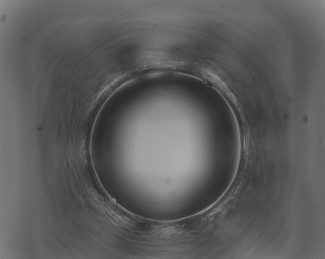 X0000073920249200608181056