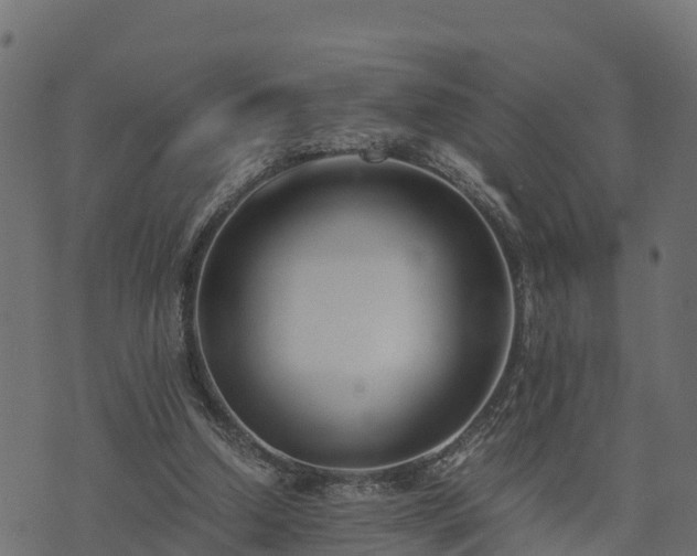 X0000073920250200608181056