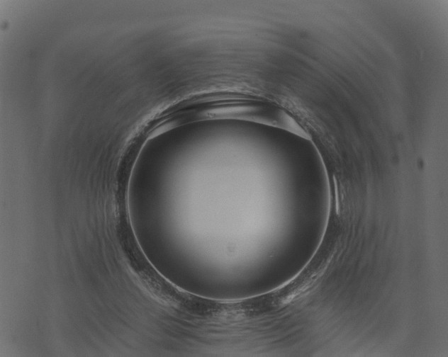 X0000073920252200608181056