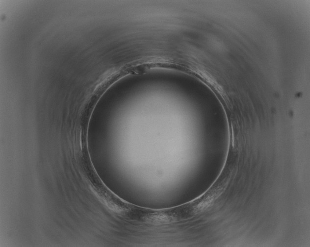 X0000073920253200608181056