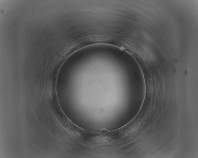 X0000073920255200608181056