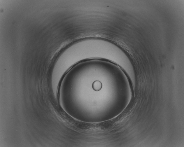 X0000073920256200608181056