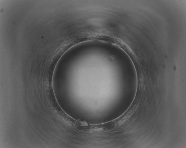 X0000073920257200608181056