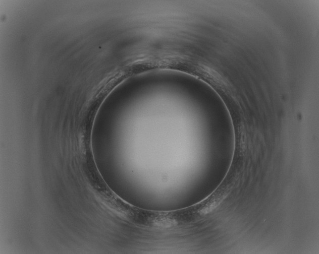 X0000073920258200608181056