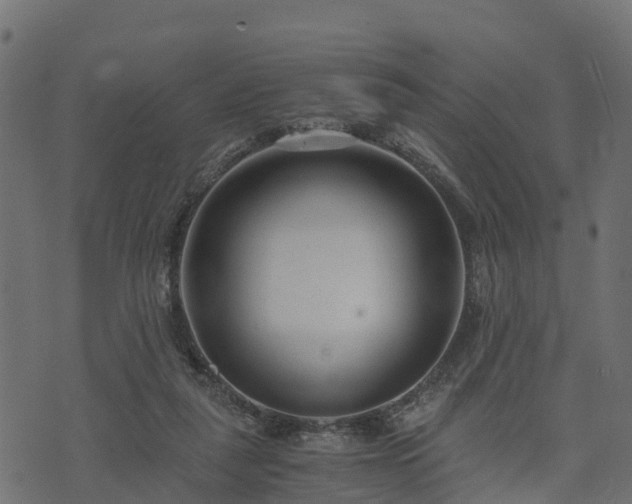 X0000073920259200608181056