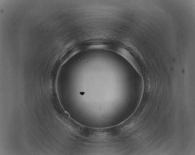 X0000073920260200608181056