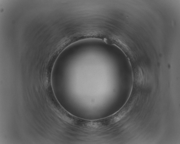 X0000073920261200608181056