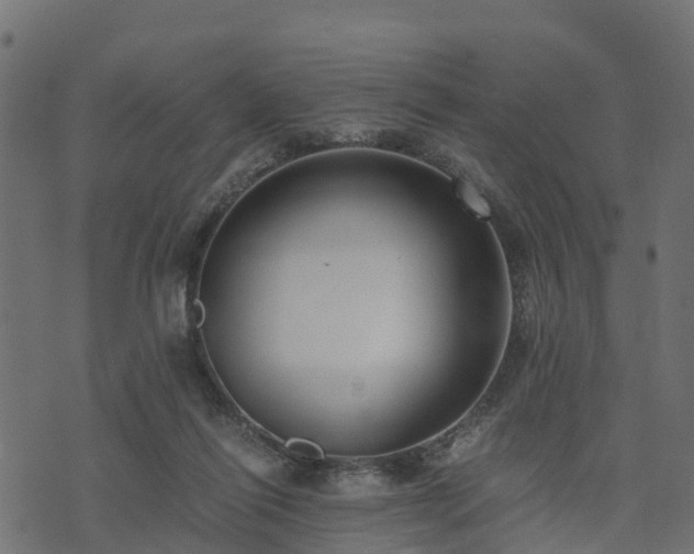 X0000073920262200608181056