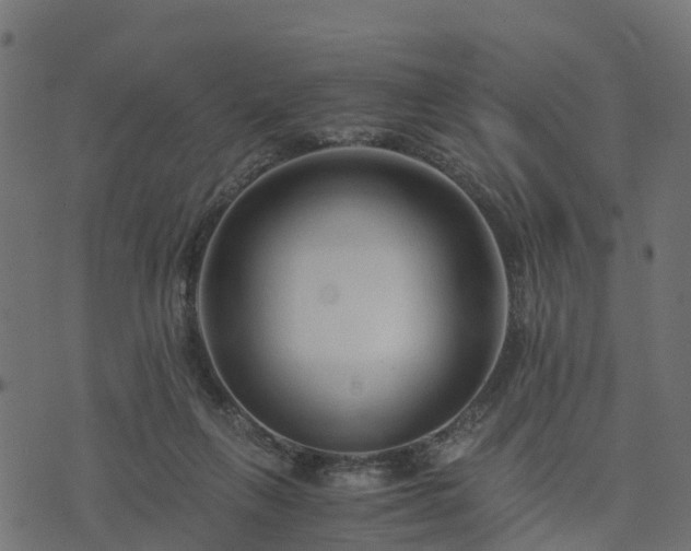 X0000073920263200608181056