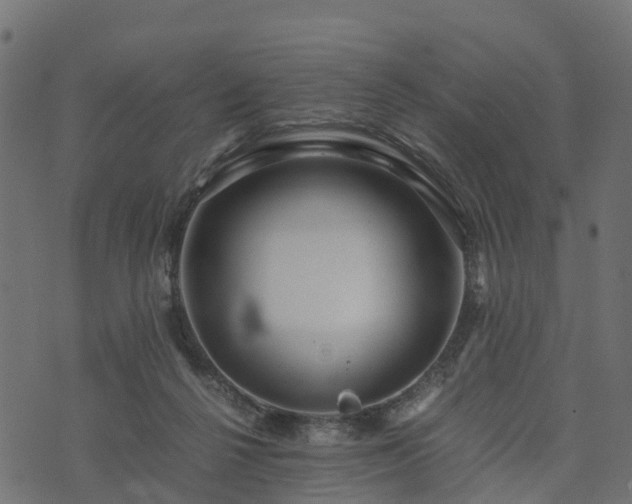 X0000073920264200608181056