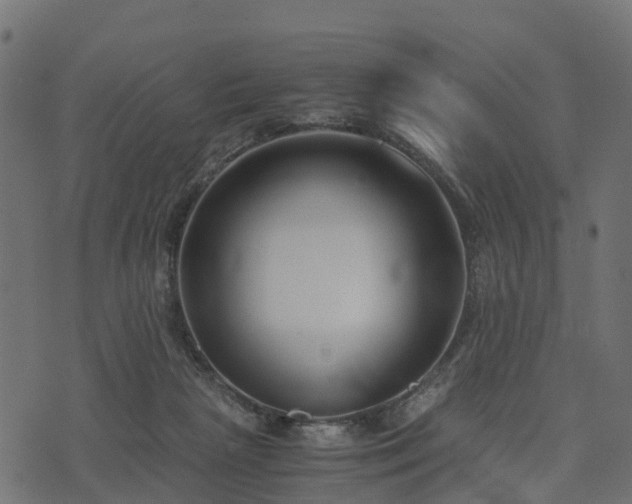 X0000073920265200608181056