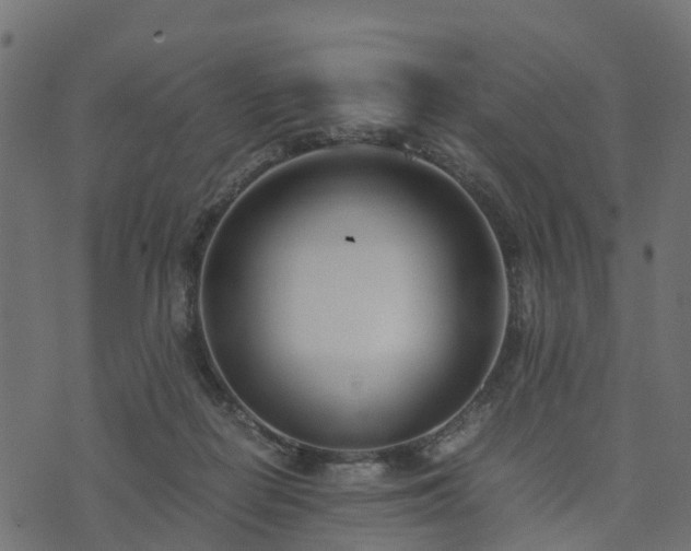 X0000073920266200608181056