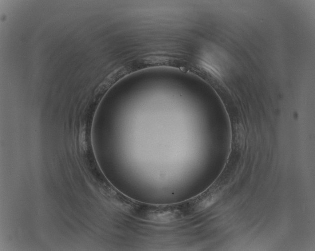 X0000073920267200608181056