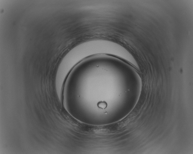 X0000073920268200608181056