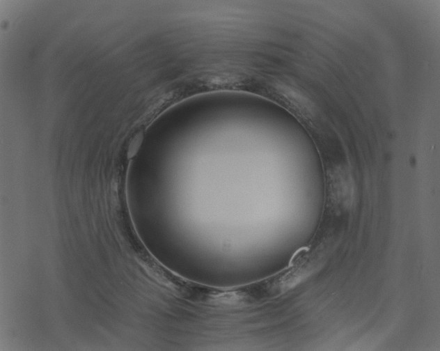 X0000073920269200608181056