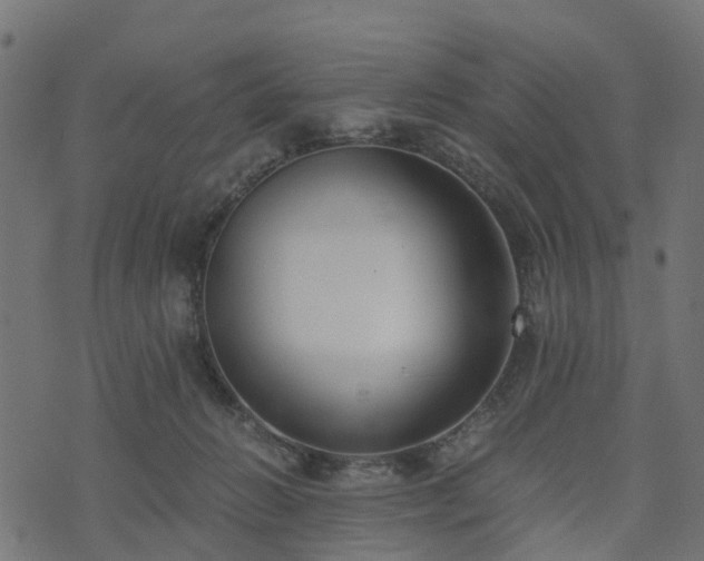 X0000073920270200608181056