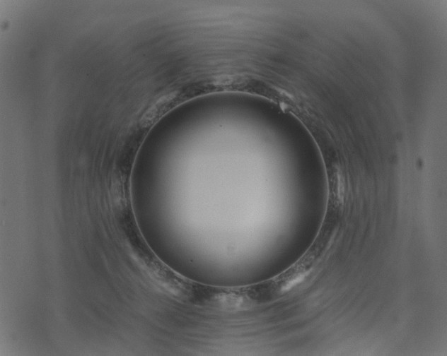 X0000073920272200608181056