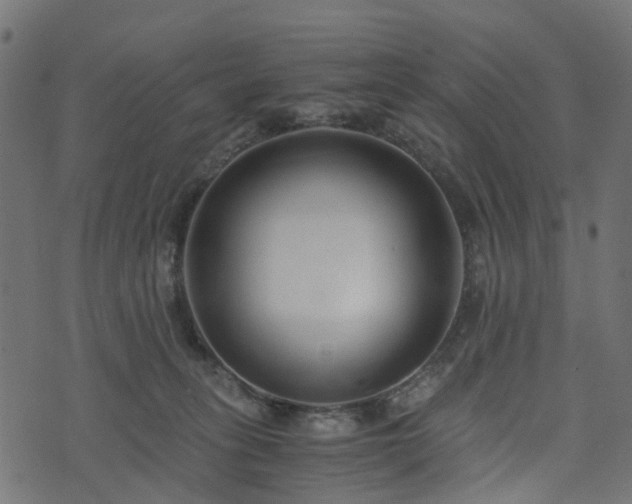 X0000073920275200608181057