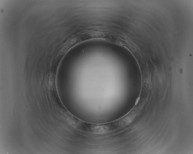 X0000073920277200608181057