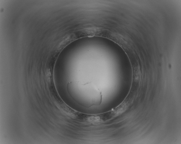 X0000073920279200608181057