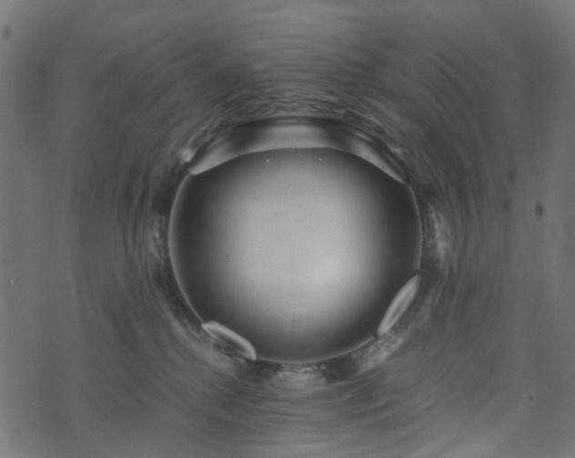 X0000073920280200608181057