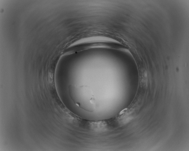 X0000073920281200608181057