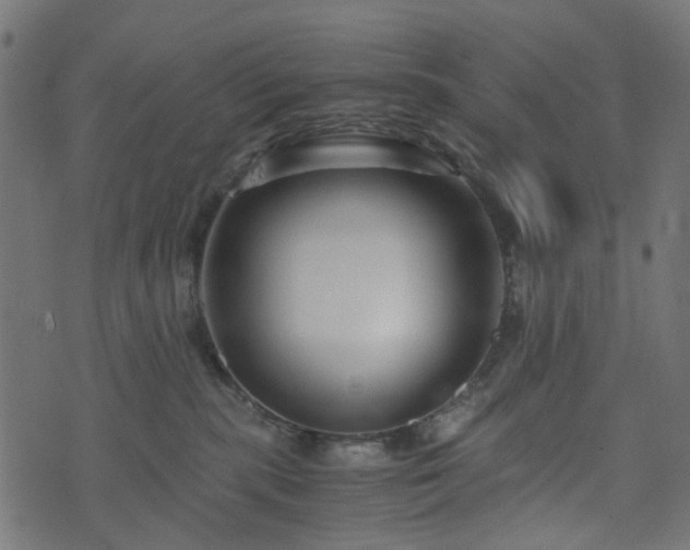 X0000073920283200608181057