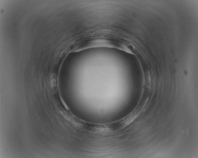 X0000073920284200608181057