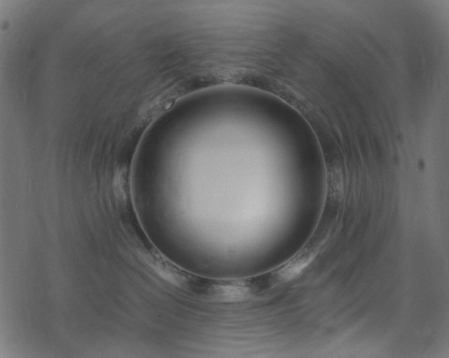 X0000073920286200608181057