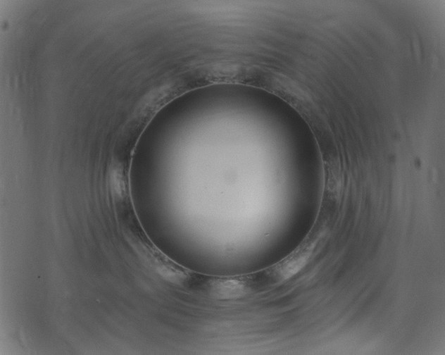 X0000073920287200608181057