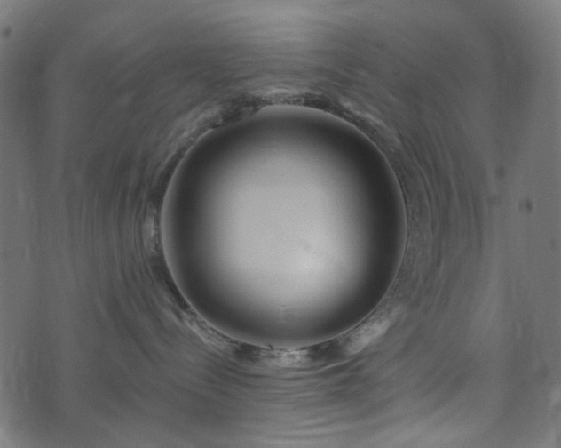 X0000073920288200608181057