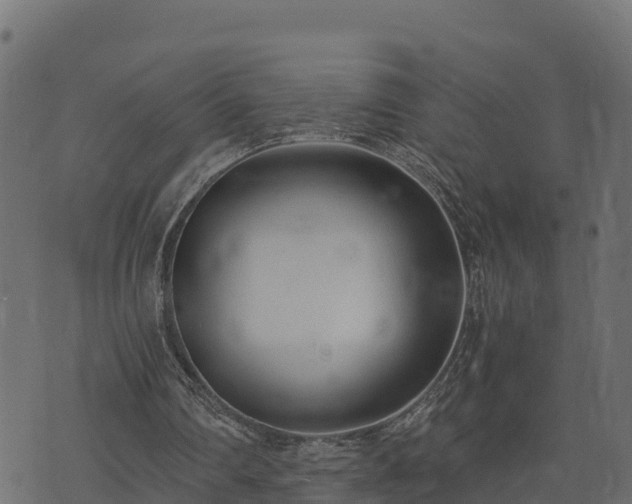 X0000073920290200608181056