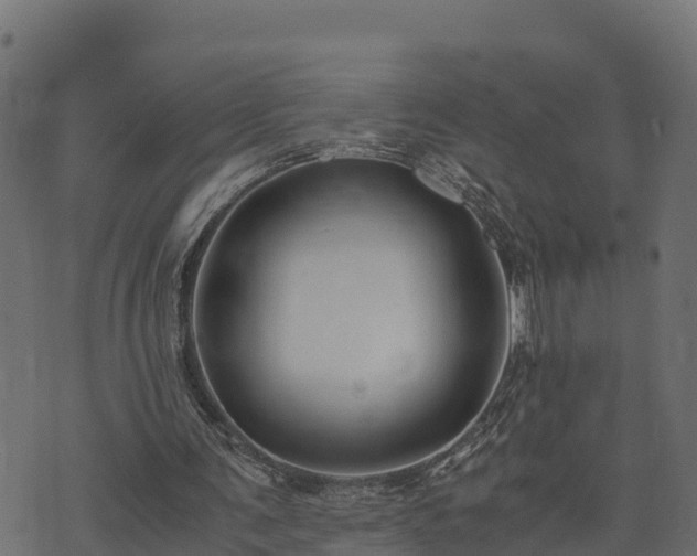 X0000073920291200608181056