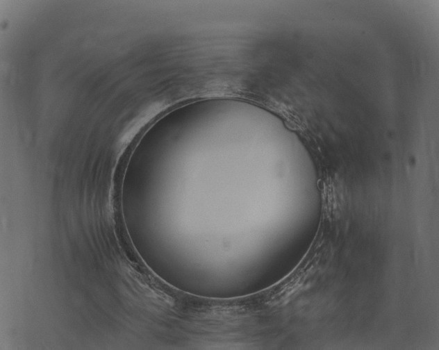 X0000073920292200608181056