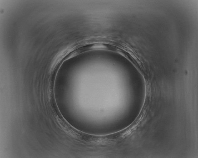 X0000073920293200608181056