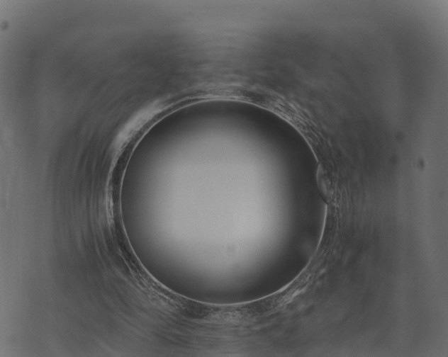 X0000073920294200608181056