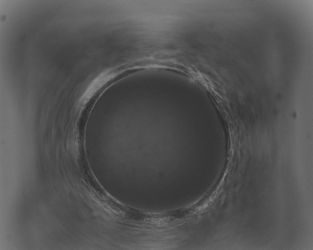 X0000073920295200608181056