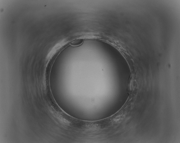 X0000073920296200608181056